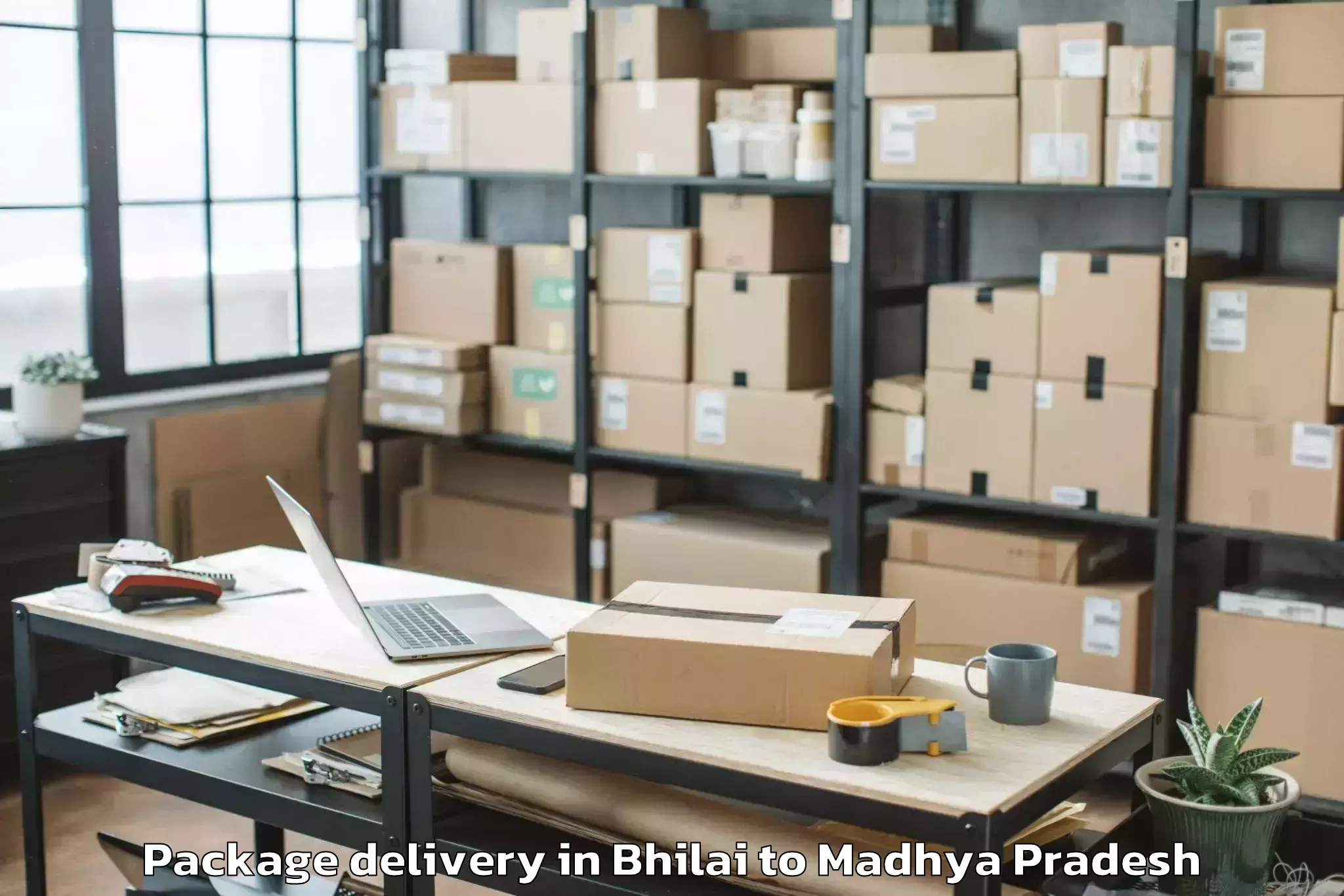 Trusted Bhilai to Malwanchal University Indore Package Delivery